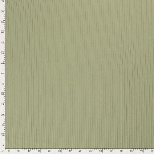 Tissu jersey cotelé 6 mm vert amande